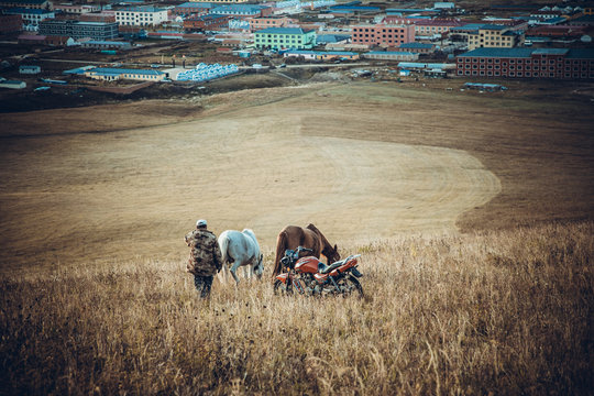 Cattle and sheep on the grassland of Ulan Butong in Inner Mongolia, China