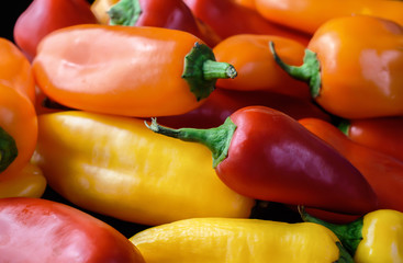 Mix of colorful sweet chili peppers
