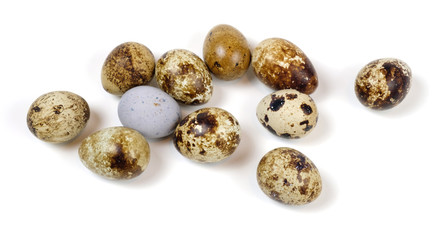 Spotted quail eggs on a white surface