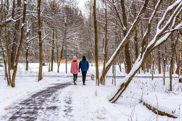 Young couple with a dog for a walk in a winter park