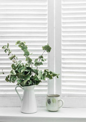 Pitcher of dried eucalyptus branches and tea mug on a window with light wooden shutters. Rustic home decoration concept