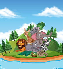 Scene with many wild animals in the park