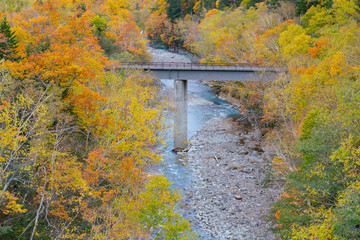 Bridge road crossing river over mountain during autumn season, Hokkaido Japan natural landscape background