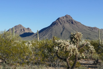 Arizona's Mountains