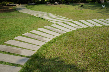 Grass pathway In the garden