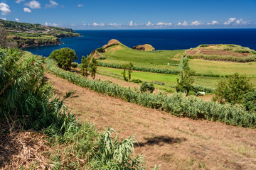 labdscape at the azores, panorama of the countryside and cliff over the sea in azores islands. portugal