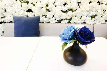 Close up of a black vase with blue roses place on the white table with blurred background of blue cushion and white flower wall.