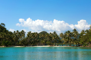 Tropical island sand beach on the sea.
