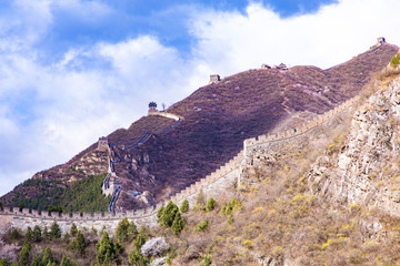 Spring flowers in the mountains of Juyongguan Great Wall, Beijing, China.