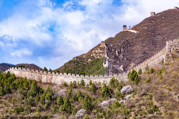 Spring flowers in the mountains of Juyongguan Great Wall, Beijing, China.