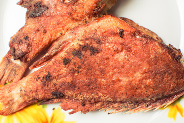 Cooked fried sea bass in plate on kitchen table.