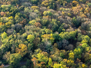 vue a&eacute;rienne de la for&ecirc;t &agrave; l'automne &agrave; M&eacute;zy-sur-Seine dans les Yvelines en France