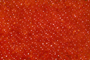 Salmon roe. Red caviar
