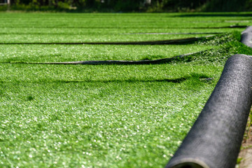 installation of synthetic artificial turf at the stadium getting started