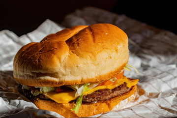 Close up shot of burger