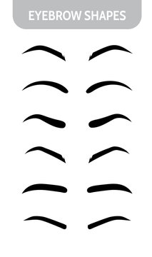 Set eyebrow shapes. Various types of eyebrows. Trimming. Vector illustration with different thickness of brows.