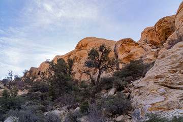 Morning nature view of the famous Red Rock Canyon