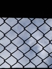 Fototapeta premium cerca