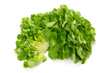 サラノバレタス