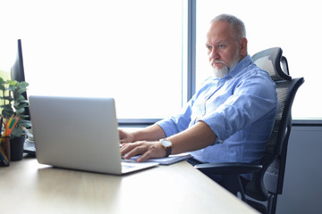 Senior businessman with a stylish short beard working on laptop computer at his office desk.