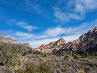 Fototapeta na wymiar Morning nature view of the famous Red Rock Canyon