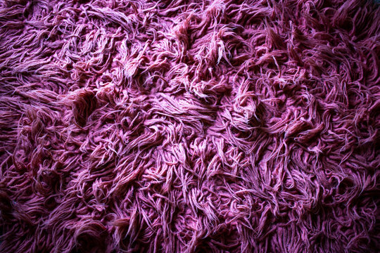 Furry pink carpet texture