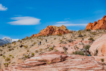 Fototapeta premium Winter snowy landscape of the famous Red Rock Canyon