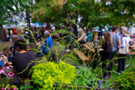 Closeup Of Plants Growing Against Audience And Trees During Event At Garden In City With Selective Focus At World And Spoken Word Festival