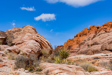 Winter snowy landscape of the famous Red Rock Canyon