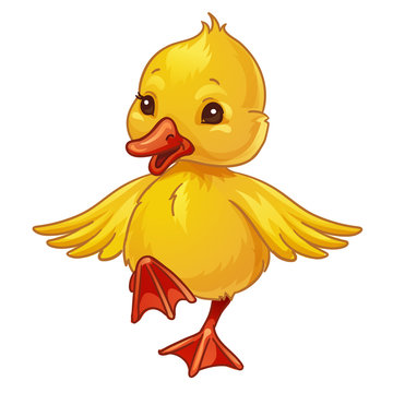 Cute little duck. Spring vector design. Isolated on white background. Outlined for coloring book