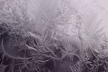 winter pattern on the window made of frost crystals