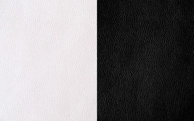 Fototapeta premium Genuine Leather. White and black color. The texture of the skin in two shades.