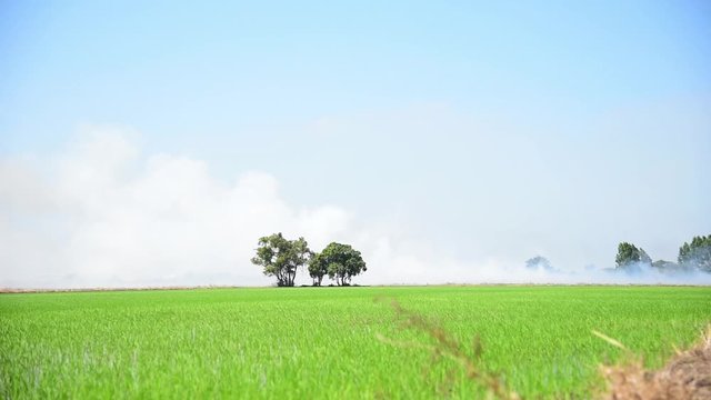 Greenhouse effect while smog from fire rice field cause global warming pm 2.5 ecology pollution. Countryside agriculture climate change in environmental issues. Pollution green ecology.