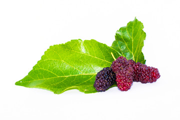 Organic mulberry fruit on a separate wooden plate on a white background, placed in a ceramic dish.