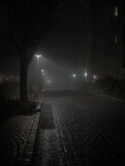 Foggy evening