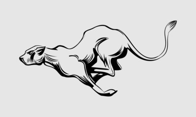 Tiger. Vector illustration of a big tiger running.	