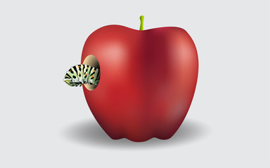 Red apple and worm on the white background