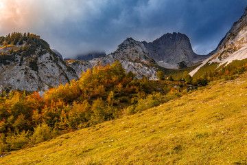 Herbstfarben in den Alpen, Wilder Kaiser