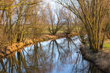 Obraz premium The river Locknitz near Wittenberge, Brandenburg. It is a nice quiet atmosphere in the warm light