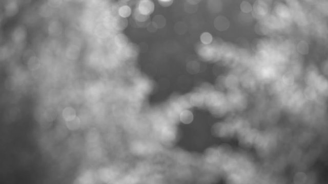 Absract natural black and white filtered video bokeh background.