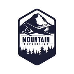 Vintage plane logo. Retro plane with emblem logo.