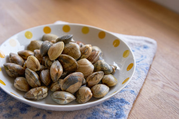アサリ。新鮮な食材。