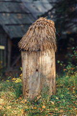 Wooden beehives from logs in autumn in village garden.
