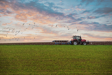 Bauer pflügt seine Felder bei Sonnenuntergang