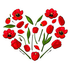 heart of red tulips set vector that consists tulip elements. Construct your own red tulip wreath. Elements for constucting easter or Valentine day cards.