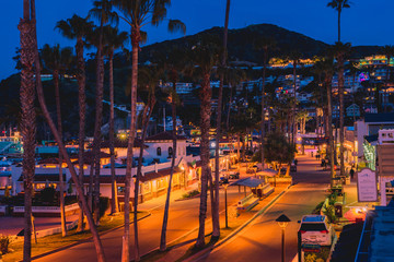 Palm trees on the beach with beautiful scenery