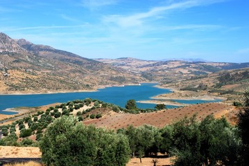 View across olive trees and the reservoir towards the mountains, Zahara de la Sierra, Spain. © arenaphotouk
