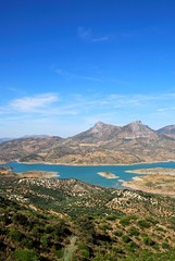 View across olive trees and the reservoir towards the mountains, Zahara de la Sierra, Spain.
