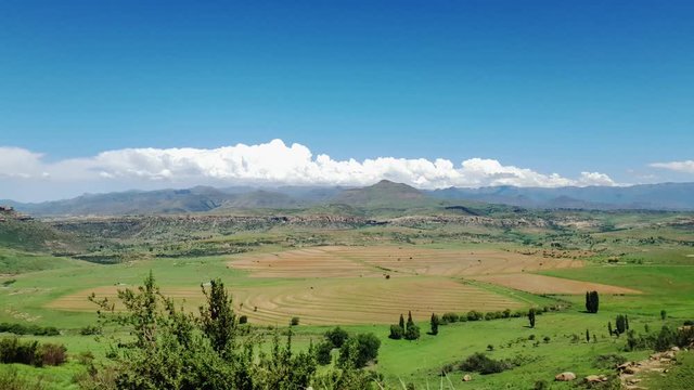 Maloti mountain range and farms in Free-state province near Clarens town and the Lesotho border. Roadside grass and flowers moving in the wind.