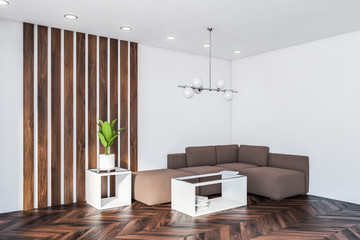 White and wooden living room corner with sofa
